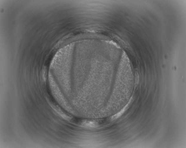 X0000080730174200701051108