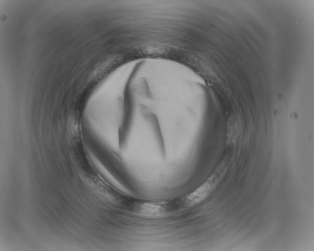 X0000080730176200701051108