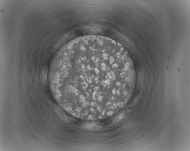 X0000080730177200701051108