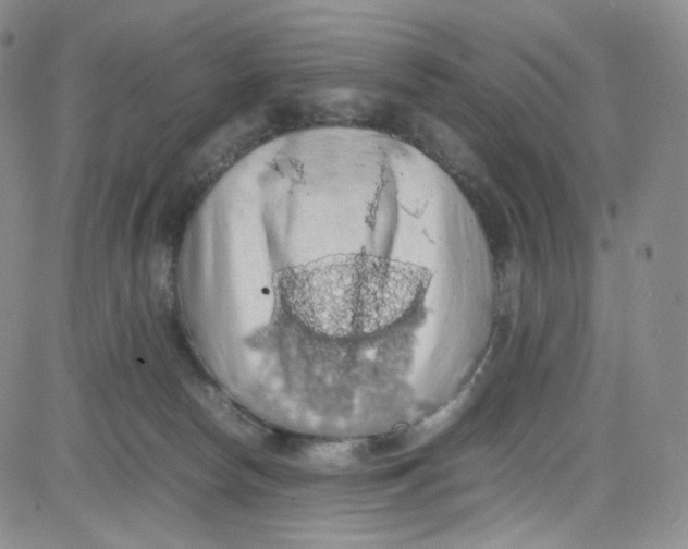 X0000080730178200701051108