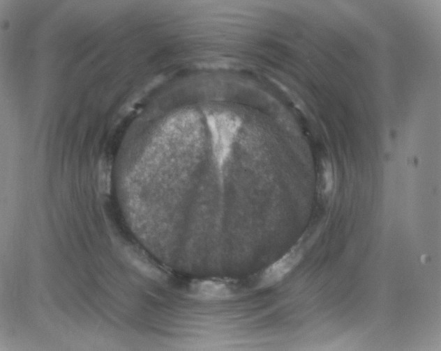 X0000080730180200701051108