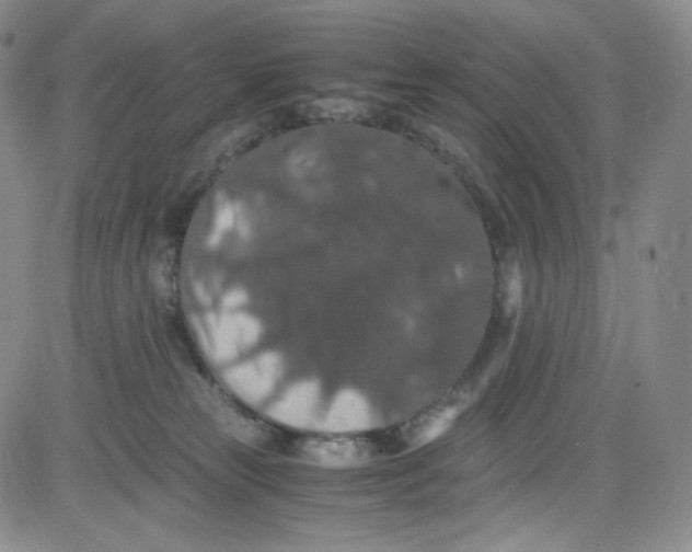 X0000080730181200701051108