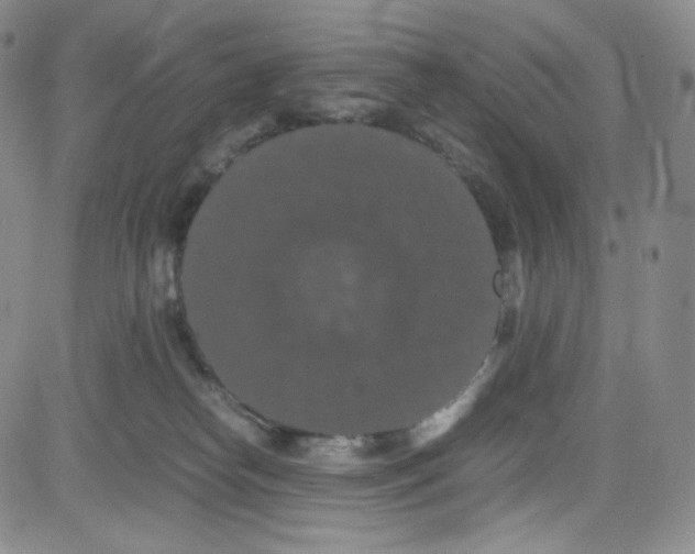 X0000080730182200701051108