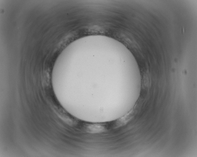 X0000080730183200701051108