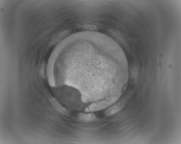 X0000080730185200701051108