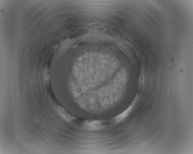 X0000080730186200701051108