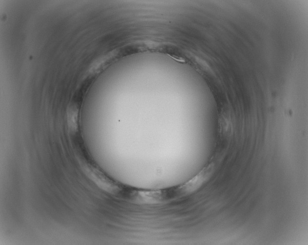 X0000080730188200701051108