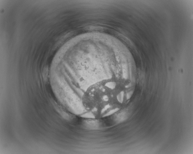 X0000080730189200701051108