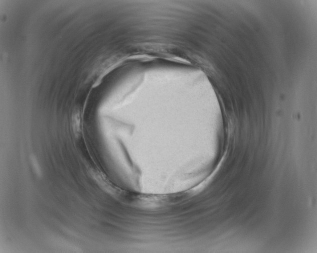 X0000080730190200701051108