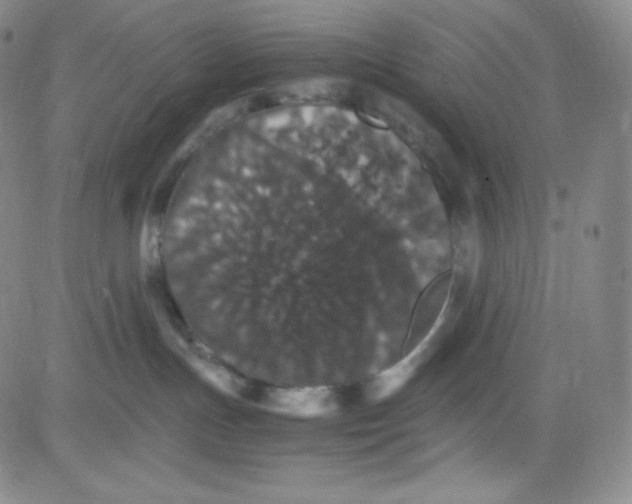 X0000080730191200701051108