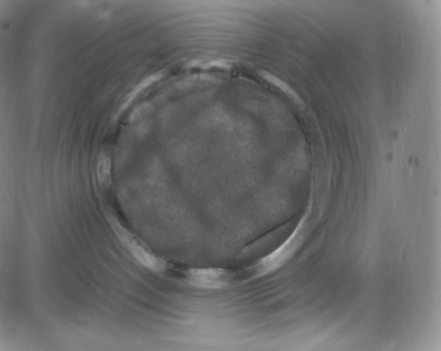 X0000080730192200701051108