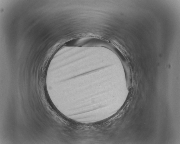 X0000080730193200701051107