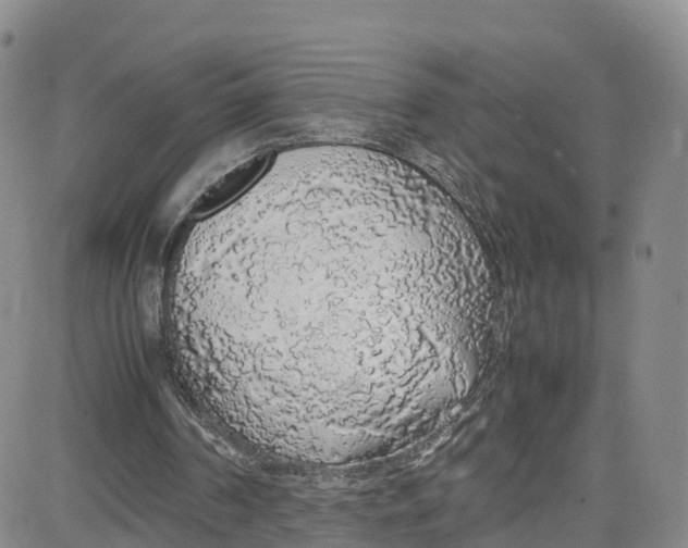 X0000080730194200701051107