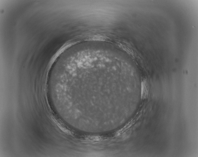 X0000080730195200701051107