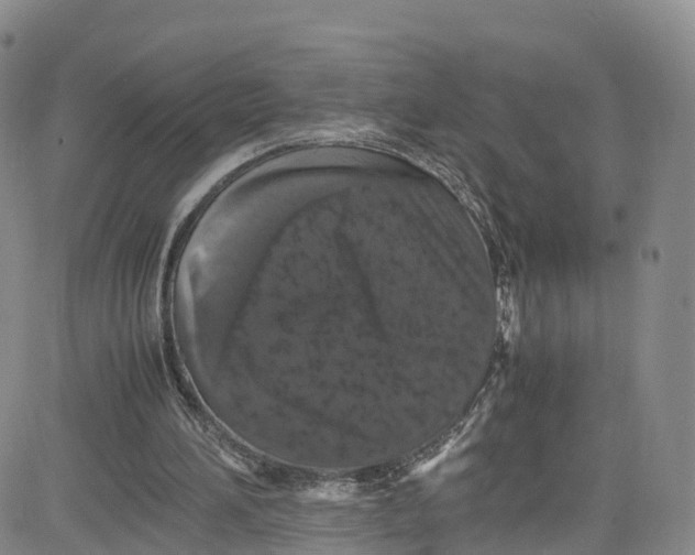 X0000080730196200701051107