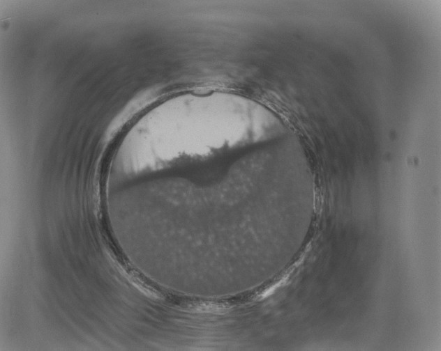 X0000080730198200701051107