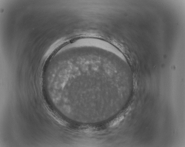 X0000080730199200701051107