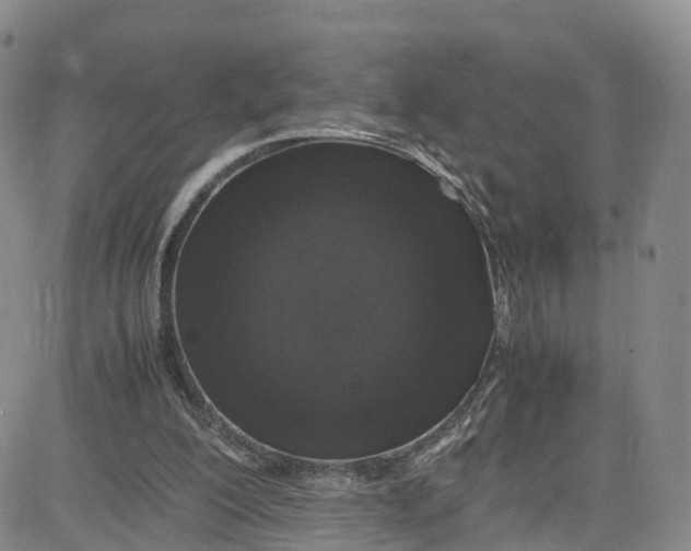 X0000080730200200701051107