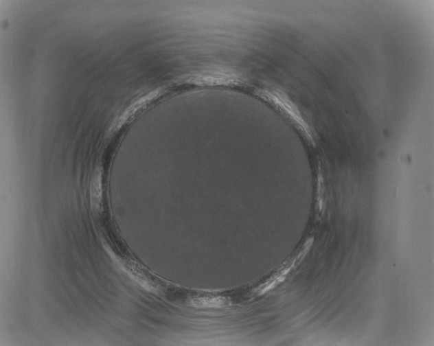 X0000080730202200701051107