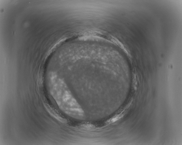 X0000080730203200701051107