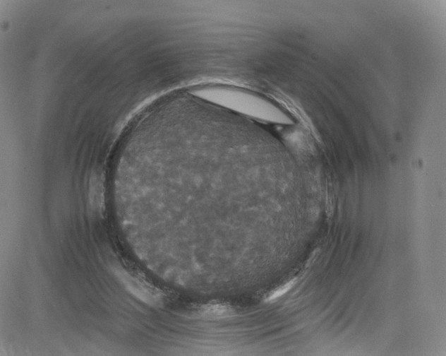 X0000080730204200701051107