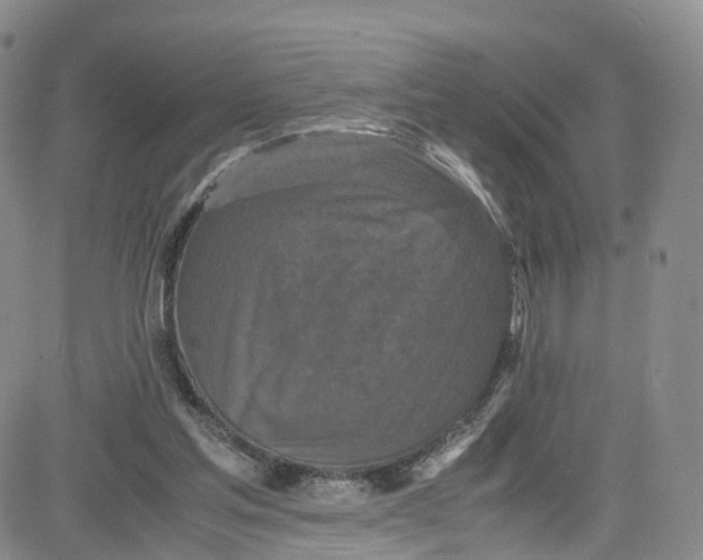 X0000080730205200701051107