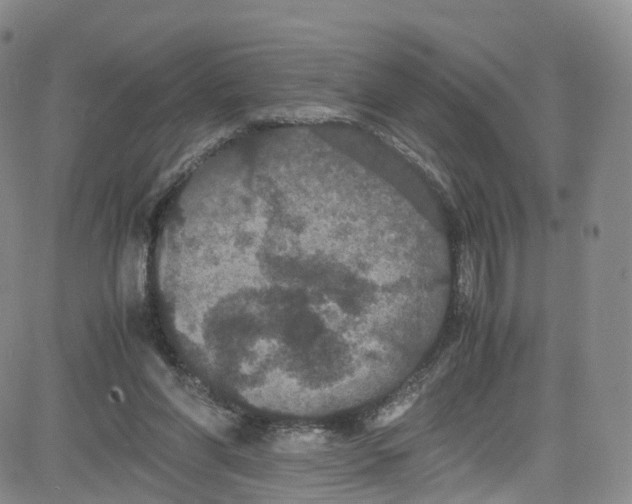 X0000080730206200701051107