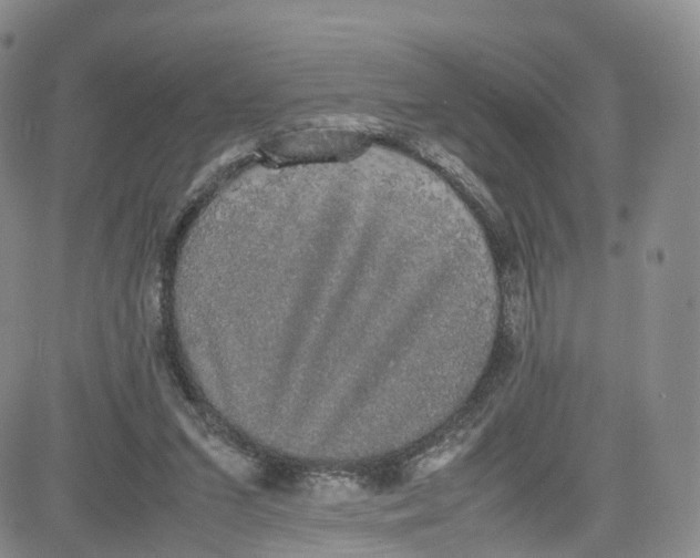 X0000080730207200701051107