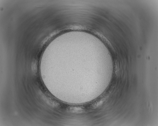 X0000080730208200701051107