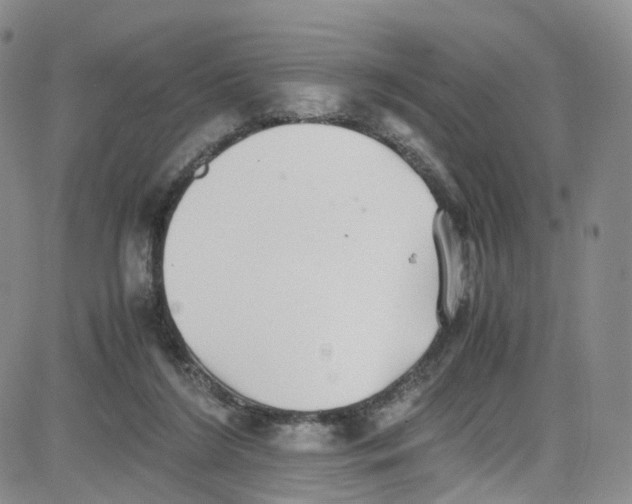 X0000080730212200701051107