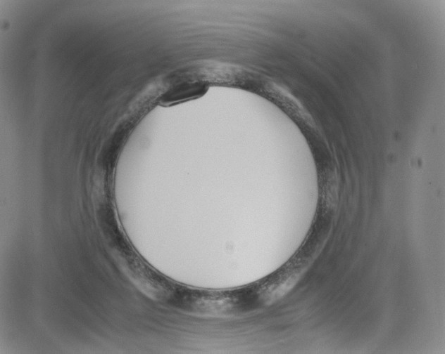 X0000080730213200701051107