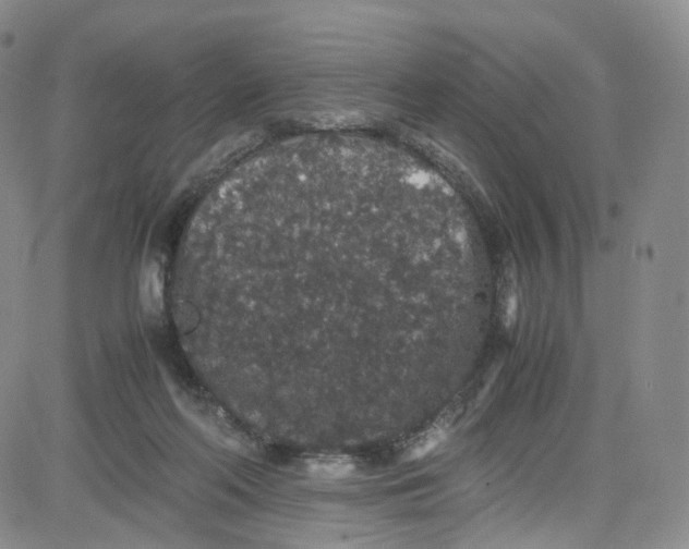 X0000080730214200701051107