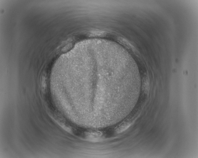 X0000080730215200701051107