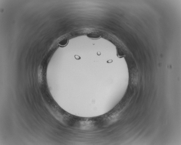 X0000080730216200701051107