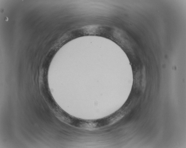 X0000080730217200701051107