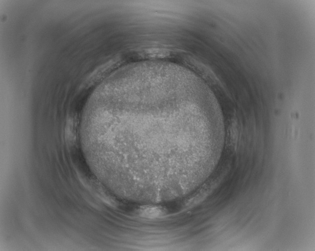 X0000080730218200701051107