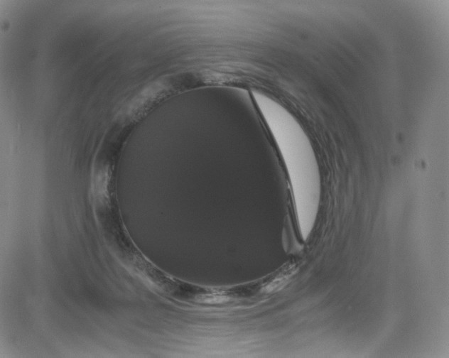 X0000080730219200701051107