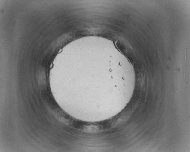 X0000080730220200701051107