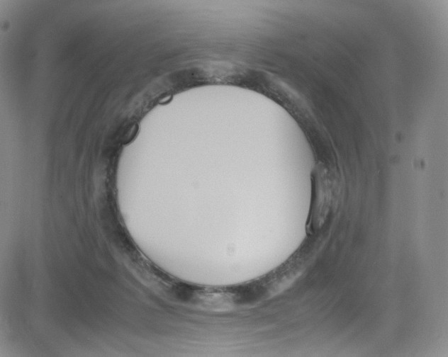 X0000080730221200701051107