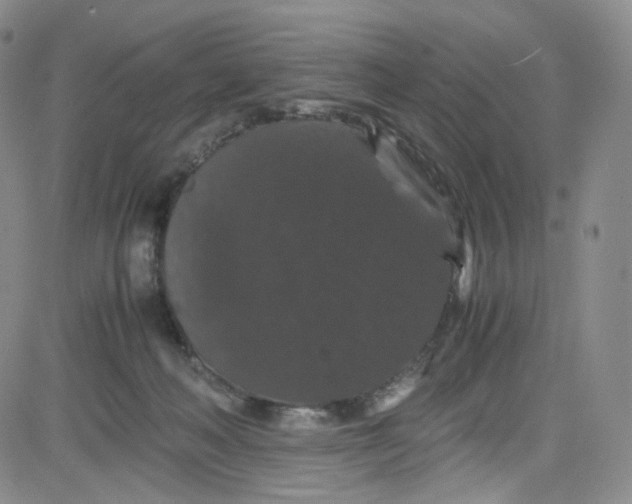 X0000080730222200701051107