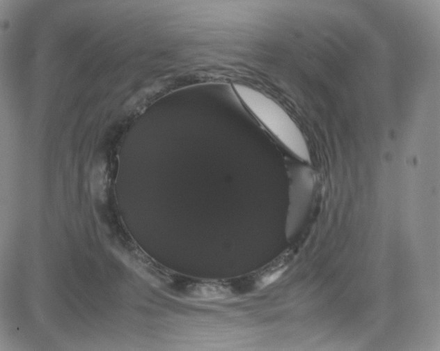 X0000080730223200701051107