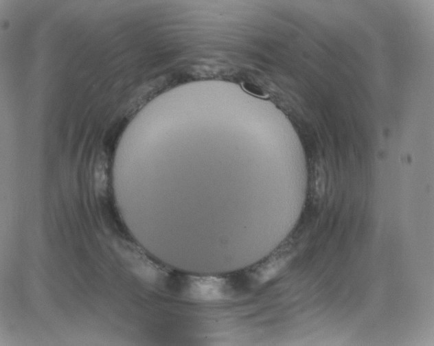 X0000080730226200701051107