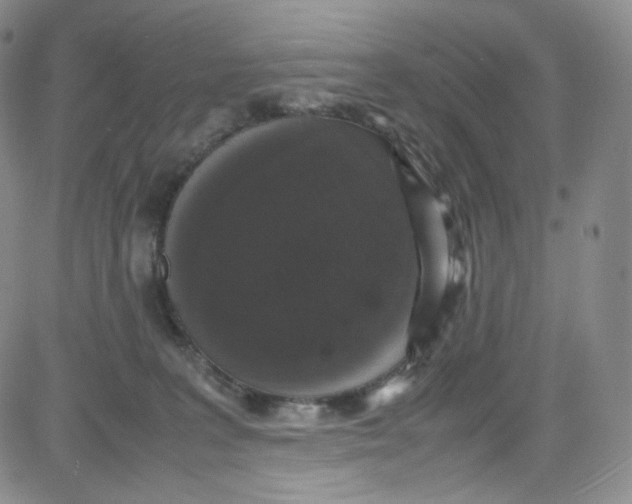 X0000080730227200701051107