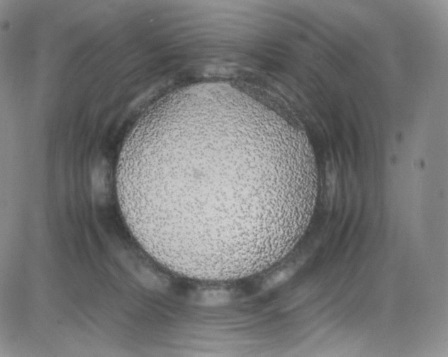 X0000080730228200701051107