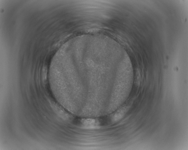 X0000080730230200701051107