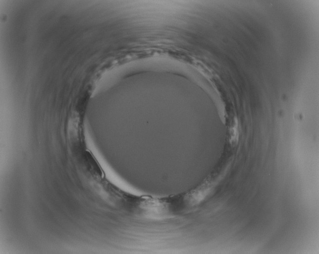 X0000080730231200701051107