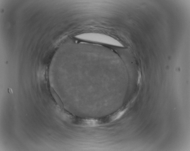 X0000080730233200701051107