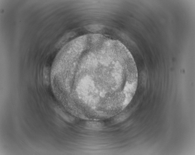 X0000080730234200701051107