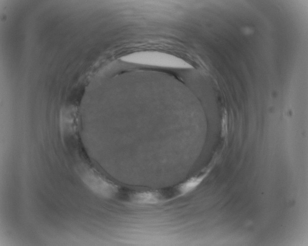 X0000080730237200701051107