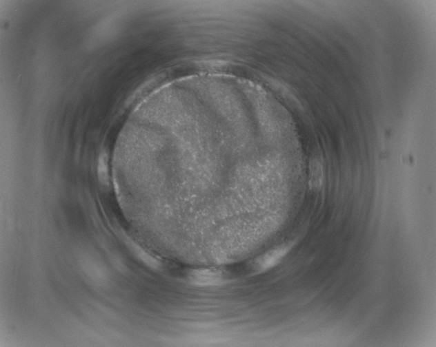 X0000080730238200701051107